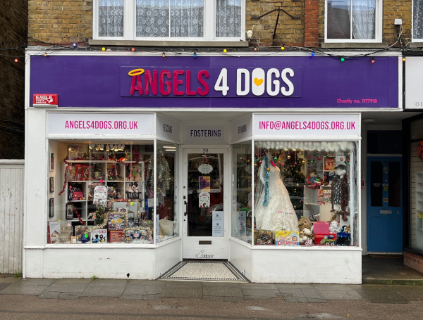 No 38 Angels for Dogs 2024